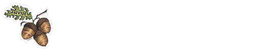 Northern Valley Indian Health logo